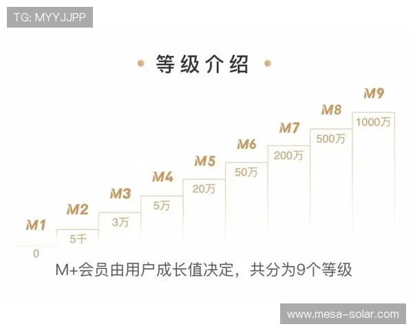 bwin必赢贵宾会：贵宾会会员等级划分及提升等级的实用攻略