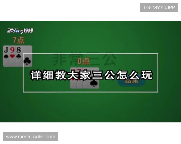 三公怎么玩最全玩法指南带你了解三公的基本规则与实用技巧提升游戏胜率