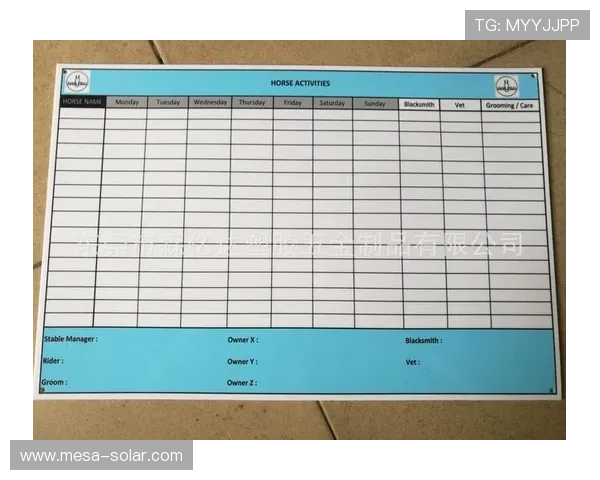 全面解析PP电子游戏试玩网站的注册流程与账号安全保障措施