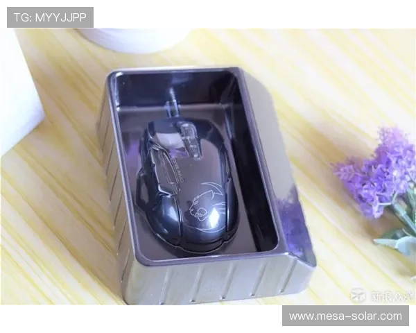 凯发PP电游客户端下载指南详细步骤帮助玩家轻松下载安装游戏软件快速上手体验