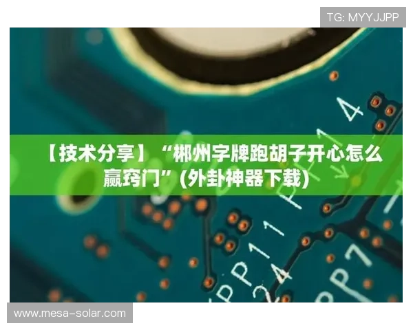 十三水高手必学的五大技巧全面解析提升胜率